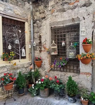 Happy Guest - Blue Therapy ריבה די סולטו